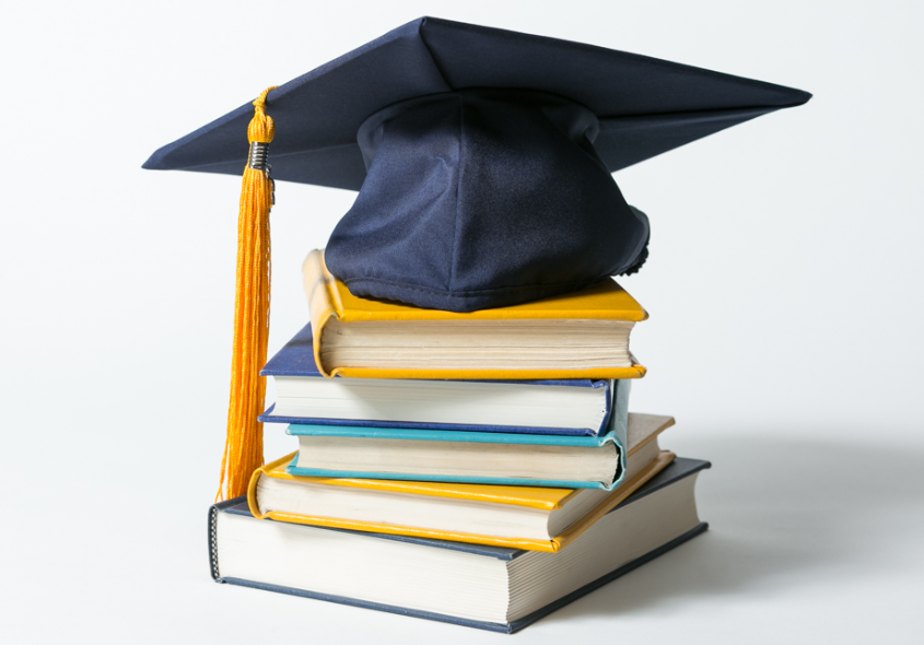 Vision Overseas Consultants